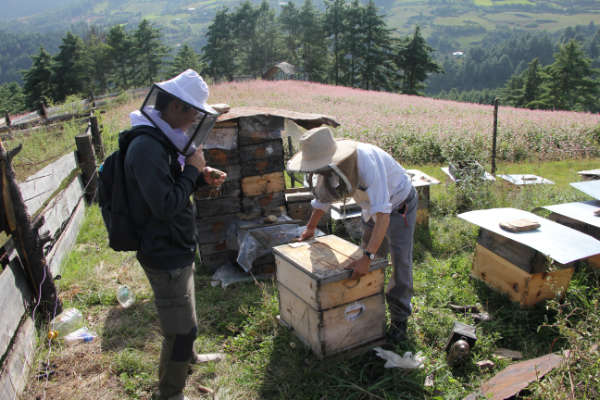 Bhutan Honey